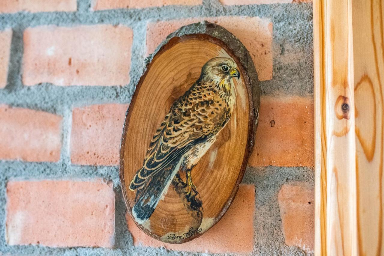 Falkenwohnung Gommern Buitenkant foto